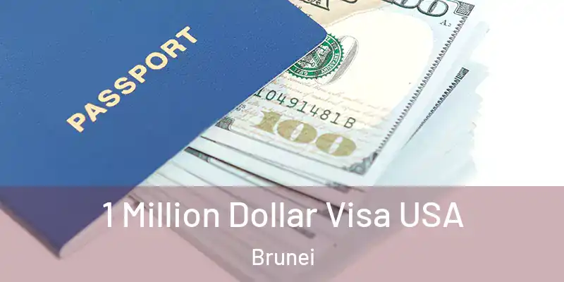  1 Million Dollar Visa USA Brunei