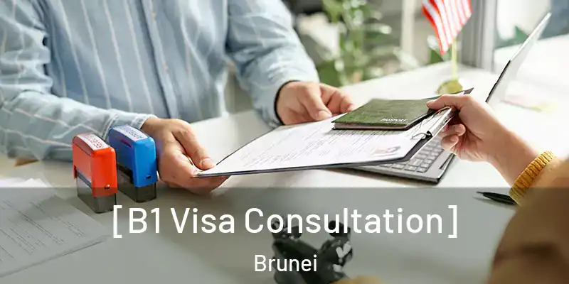  [B1 Visa Consultation] Brunei