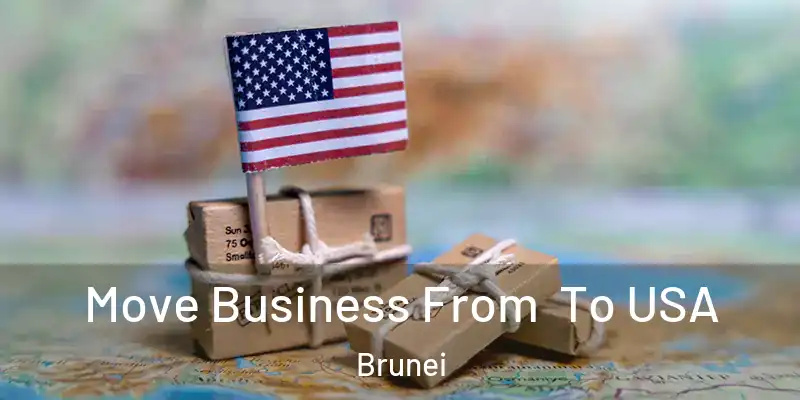  Move Business From To USA Brunei