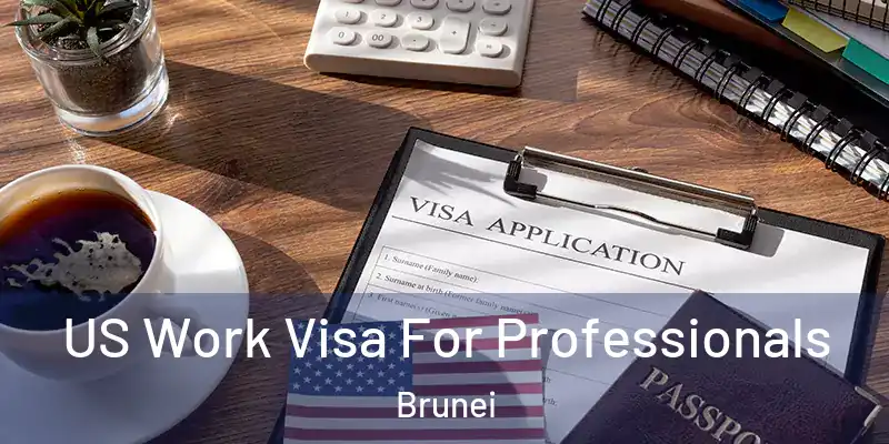  US Work Visa For Professionals Brunei